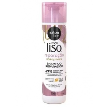 SH S LINE MEU LISO 300ML REPARACAO