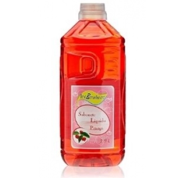 SAB LIQ TOK BOTHANICO 1,9L PITANGA