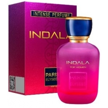PERFUME FEMININO PARIS ELYSEES 100ML INDALA