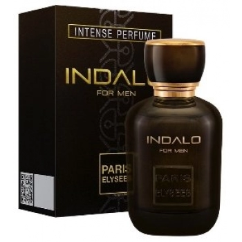 PERFUME MASCULINO PARIS ELYSEES 100ML INDALO