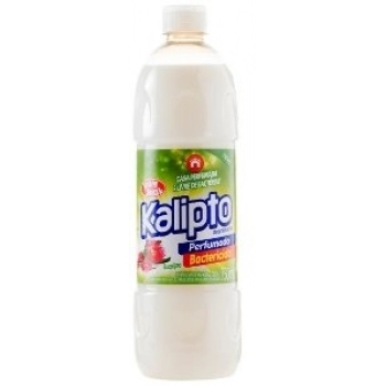BOMBRIL DESINFETANTE KALIPTO 15/750ML EUCALIPTO